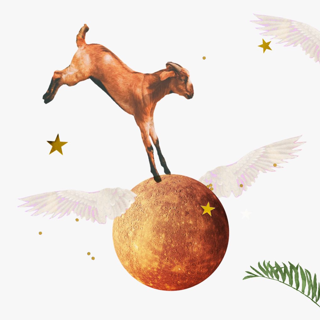 Mercur în Capricorn Horoscoape | CHANI